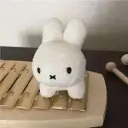 みーの画像
