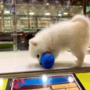 あおい♨️
