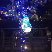 ちゃっぴーの画像