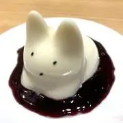 ねこの画像