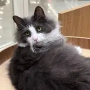 momochanの画像