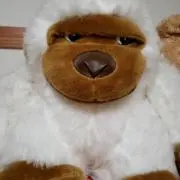 まふぃん
