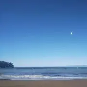 SEAの画像