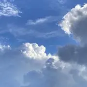 野菜不足の画像