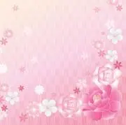 ゆっこ
