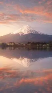たまこの画像