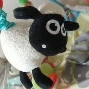 sachiの画像