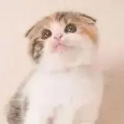 奈緒:購入者はプロフ確認お願いしますの画像