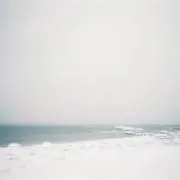 荒涼（プロフ必読）