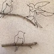 コトリの画像