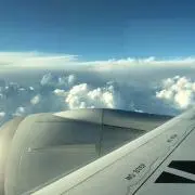 あおぞらの画像