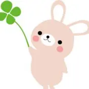 シーズーさんの画像