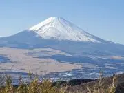なおきの画像