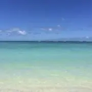 ymの画像
