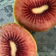 E1
