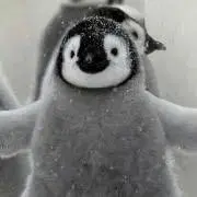 penの画像