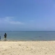 メルシー