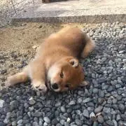 みなみなの画像