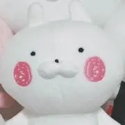 ちょこの画像