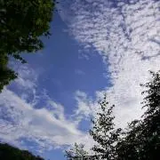 tatsu8の画像