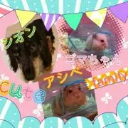 Koko　and   Rai   ♪