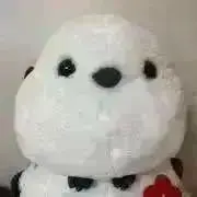 momo(プロフ読んでね)の画像