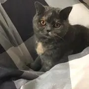 ここ