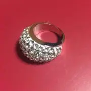 カメレオンの画像