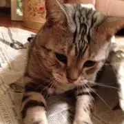 カジノの画像