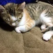 ら〜山