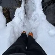 りゅうの画像