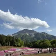 たなかさんの画像
