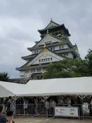 クリームソーダの画像