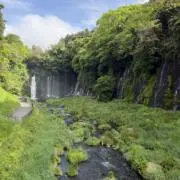Satoriの画像