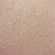 cの画像