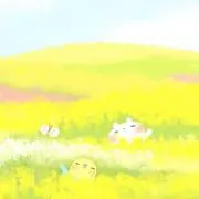 きよの画像