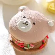 くま引越し準備中の画像