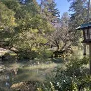 Mの画像