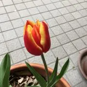 なーみの画像