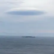 オリーブの画像