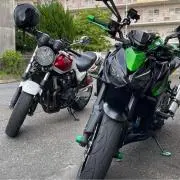 フォンくんの画像