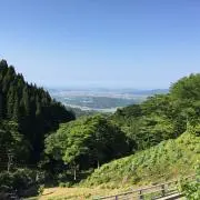 ずんだもちの画像