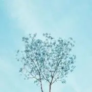 KK♡の画像