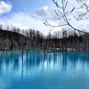 yoiyoiの画像