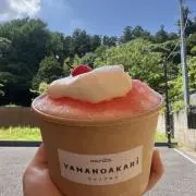 mの画像