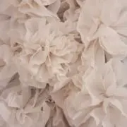 @の画像