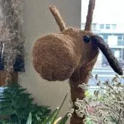 ザーハトルテの画像