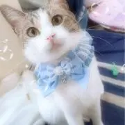 AyU❤︎*