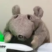 もぐやん。
