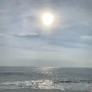 はるの画像